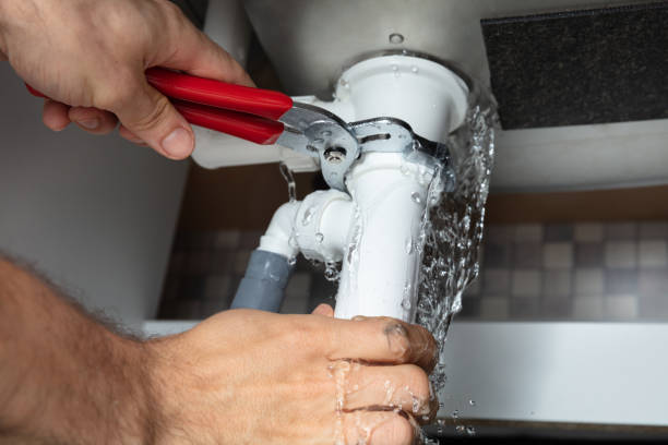 Best Mold removal after water damage  in Quinnipiac University, CT