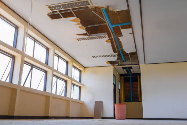 Best Flood restoration services  in Quinnipiac University, CT