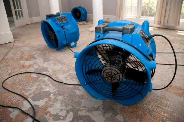  Quinnipiac University, CT Water damage restoration Pros