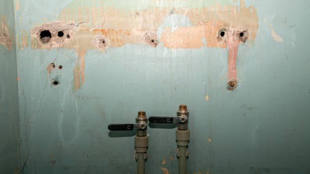 Best Water damage repair service  in Quinnipiac University, CT